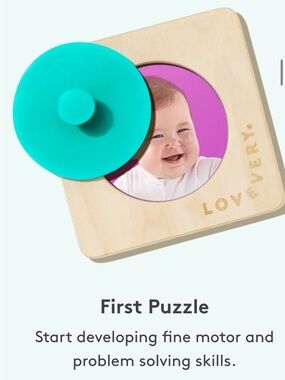 Lovevery First Puzzle - Teal and Pink Wooden Shape Puzzle